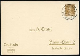 DÜLMEN/ SEGELFLUGPLATZ 1930 (28.9.) Seltener SSt Auf PP 3 Pf. Goethe (H. Treitel, Mi.PP 97/B 5) Klar Gest. Inl.-Kt. (Bo. - Vliegtuigen