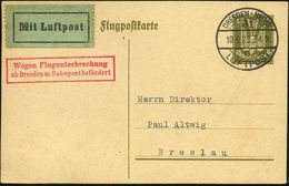 DRESDEN-NEUST./ 31/ C/ LUFTPOST 1925 (10.6.) 1K-Brücke (Mi.D 11-05) Auf LP 15 Pf. Holztaube, Oliv + Grüner LPZ + Roter R - Airplanes