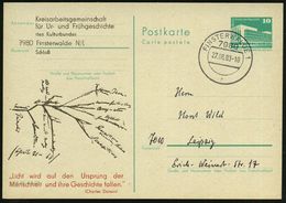 7980 FINSTERWALDE 1/ R 1983 (27.6.) 1K Auf Amtl. P 10 Pf. PdR, Grün + Zudruck: Charles Darwins Zeichnung "Entstehung Der - Geografia