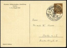 DRESDEN AUSSTELLUNG/ "Die Briefmarke" 1936 (Aug.) SSt = Posthorn, Tulpen Auf PP 3 Pf. Hindenbg., Braun: Olympia-Postwert - Filatelistische Tentoonstellingen