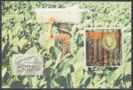 TMA-253 CUBA 2002 MAXIM CARD FESTIVAL DEL HABANO, TOBACCO PLANTING. - Maximum Cards