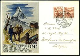 SCHWEIZ 1946 (8.12.) SSt: SION/JOURNEE DU TIMBRE (Burg, Weintrauben) Inl.-Sonder-Kt.: Journée Du Timbre = Matterhorn, Po - Giornata Del Francobollo