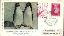 ARGENTINIEN 1959 (11.6.) SSt.: ARGENTINA/ANO GEOFISICO INTERNACIONAL Y ANTARTIDA (Robbe, Logo Int. Geophysikal. Jahr = G - Expéditions Antarctiques