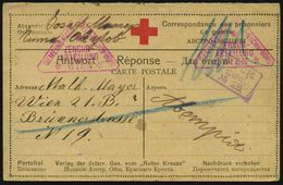 RUSSLAND /  ÖSTERREICH 1917 (8.7.) Rotkreuz-Kgf.-Vordr.-Kt., Russ. Lager-Zensur-Ra.3: IRKUTSK/Lager No.25 (Wo.1) + 2x Vi - Red Cross