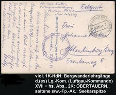 OBERTAUERN (b RADSTADT,SALZBURG)/ B 1943 (6.10.) 2K + Seltener Viol. 1K-HdN: 8. Bergwanderlehrgänge D. Lg. Kom. XVII. Fe - Andere & Zonder Classificatie