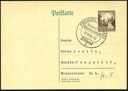 FREIBURG (BREISGAU)/ Schaefers/ Märchenstadt/ Liliput/ A 1938 (20.10.) Seltener SSt = Wanderstempel! , Klar Gest. Inl.-K - Circo