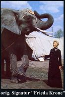 B.R.D. 1960 (ca.) Portrait-Foto Frieda Sembach-Krone (1915-1975) Mit Elefant, Vs. Orig. Signatur "Frieda Sembach-Krone"  - Circus
