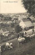 Pays Div -ref T600- Suisse - Boncourt - Mouton - Troupeau De Moutons - - Court