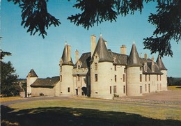 THENEZAY. - Le Château De La ROCHE-FATON. Très Beau Cliché - Thenezay