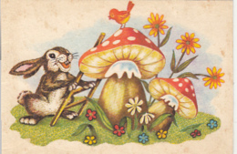 CPA MUSHROOMS, RABBIT, BIRD, FLOWERS, LADDER - Champignons