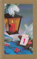 CPA MUSHROOMS, CANDLE, PINECONES, CALENDAR - Pilze