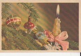 CPA MUSHROOMS, ORNAMENTS, CANDY, RIBBON - Funghi