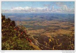 Zimbabwe Ynyanga ( 2 Scans ) - Simbabwe