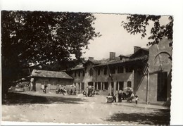 Carte Postale Chibron Par Signes - Maison De Repos Des Travailleurs Du Port De Marseille. Pavillon Des Convalescents - Signes