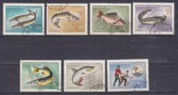 Hungary 1967 Fish Sport Fishing Mi#2344-2350 A - Perforated, Used - Used Stamps