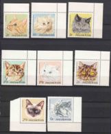 Hungary 1968 Domestic Animls - Cats Mi#2387-2394 A Mint Never Hinged - Unused Stamps