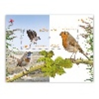 Portugal ** & Europa CEPT, National Birds 2019 (8411) - 2019