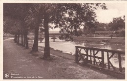 Diekirch, Promenades Au Bord De La Süre (pk60576) - Diekirch