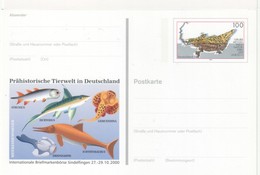 Deutschland Bild-Postkarte Weltnaturerbe UNESCO Prähistorische Tierwelt In D. - Sonstige & Ohne Zuordnung