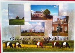 Groeten Van Schokland ( Greetings From ) - Sonstige & Ohne Zuordnung