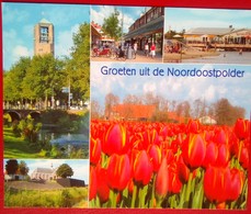 Greiten Uit De Noordoostpolder  (Greetings From) - Andere & Zonder Classificatie