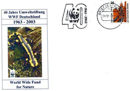 GERMANY 2003 WWF POSTCARD With SALAMANDER. - Lettres & Documents