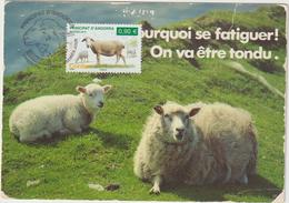 Carte Maximum ANDORRE Fse N° Yvert 691 (MOUTONS) Obl Sp Ill 1er Jour (Ed Midicap) - Maximumkarten (MC)