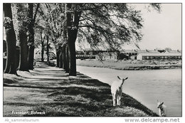 Franeker (D-A07/3) - Franeker