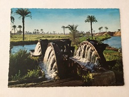 AK  EGYPT  FAYYUM FAYOUM  WATERMILL - Fayyum