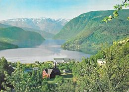 Norway (Norvège) - Ulvik-Hardanger Fjord - Carte Non Circulée - Norwegen