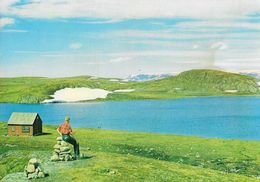 Norway (Norge, Norvège) - Hardangervidda Mot Hardangerjokulen (glacier) - Carte Non Circulée - Norvegia