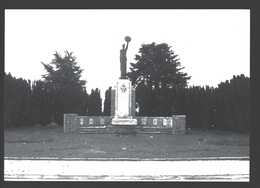 Jandrain / Orp- Monument Dédié Aux Chasseurs Français - état Neuf - Ed. De La Buissière, Braives - Orp-Jauche