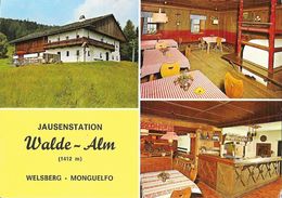 Jausenstation - Berggasthof Walde-alm - Welsberg Monguelfo Pustertal, Dolomiten Alto Adige - Restaurant - Alberghi & Ristoranti