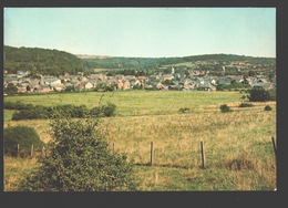 Delcampe - Barvaux S/O - Panorama - Durbuy