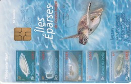 Télécarte TAAF FSAT - Iles Eparses, Tortue - TAAF - Terres Australes Antarctiques Françaises