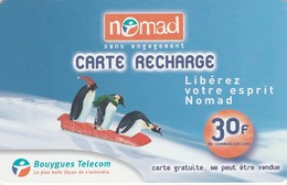 France - Carte Recharge Nomad - Manchots Sur Une Luge ... Pinguin Penguin .... RARE - Pinguïns & Vetganzen