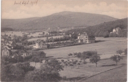 Bt - Cpa Königstein I. T. - Kurhaus, Taunusblick, Taunusinstitut, Altkönig Im Hintergrund - Koenigstein