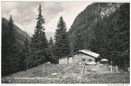 Ankogel / Radeckalm (D-A19) - Bad Hofgastein