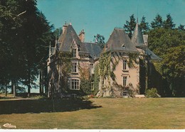 CERIZAY. - Le Château Du Puy-Genest. CPM - Cerizay