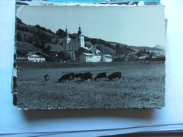 Oostenrijk Österreich Tirol Brixen Im Thale Nordtirol - Brixen Im Thale