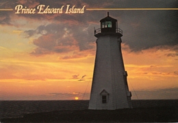 Prince Edward Island Canada Sea Cow Head Lighthouse Postcard Phare Leuchtturm Faro - Phares