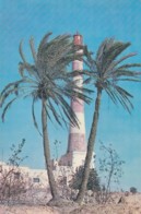 Gerba Gjerba Tunisia Lighthouse Postcard Phare Leuchtturm Faro - Phares