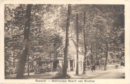 Bussum, Melkhuisje Bosch Van Bredius - Bussum