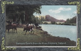 Postcard Lismore Castle From The River Lismore Co Waterford Ireland [ Cows In Foreground ] My Ref  B13257 - Waterford