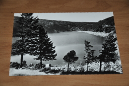 9679-    LES HAUTES-VOSGES, LE LAC BLANC - Sonstige & Ohne Zuordnung