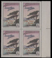 RUSSIA 1955 North Pole Airplane Woods Trees 1R MARG.OVPT.4-BLOCK - Expediciones árticas