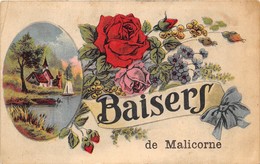 72-MALICORNE- SAISERS DE MALICORNE - Malicorne Sur Sarthe