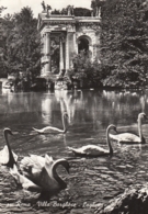 Roma - Villa Borghese , Laghetto 1960 - Parks & Gardens