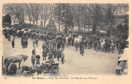 72-LE-MANS- PLACE DES JACOBINS, LE MARCHE AUX CHEVAUX - Le Mans