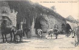 72-CHATEAU-DU-LOIR- FERME DANS LE ROC LA DURETERIE - Chateau Du Loir